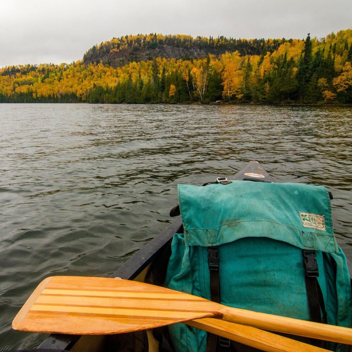 299378461_575064050768072_2657660531858914654_n