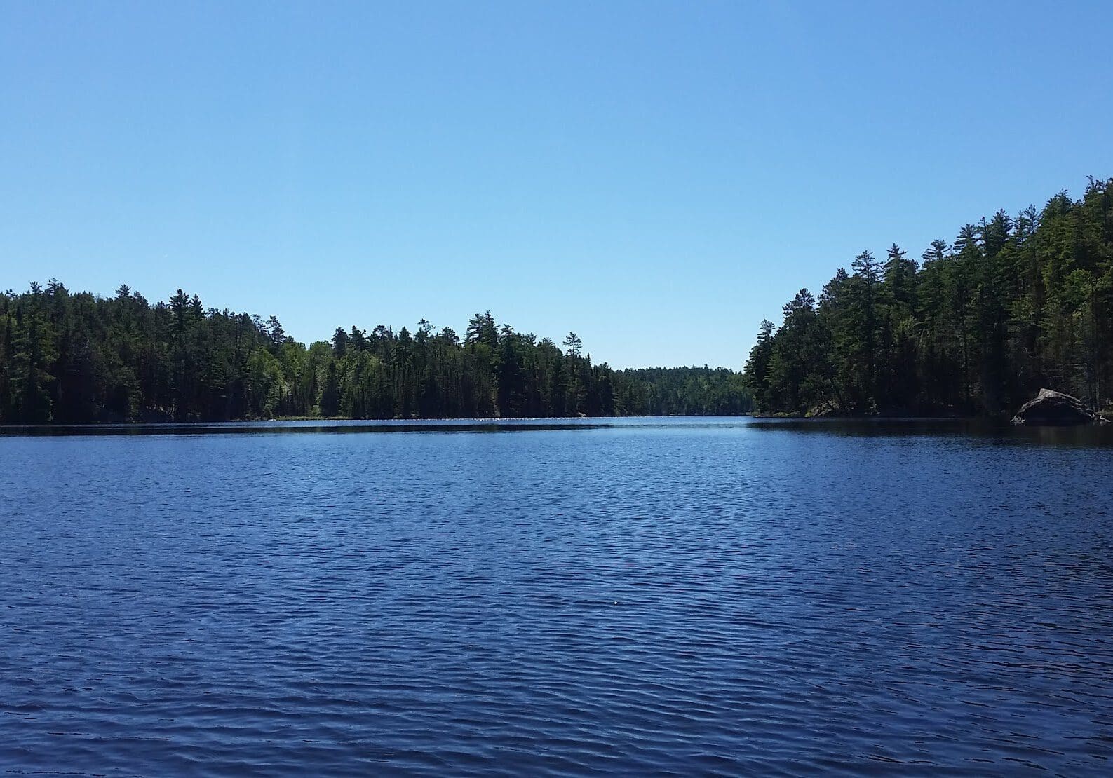20220802_071644(0)