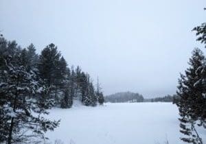 PXL_20230112_135519975 (1)