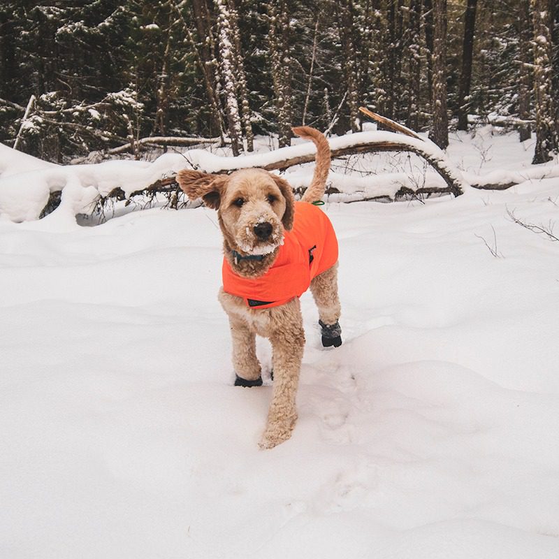 Nylon Shell Jacket | Sundog Sport Nylon Shell Jacket | Sundog Sport